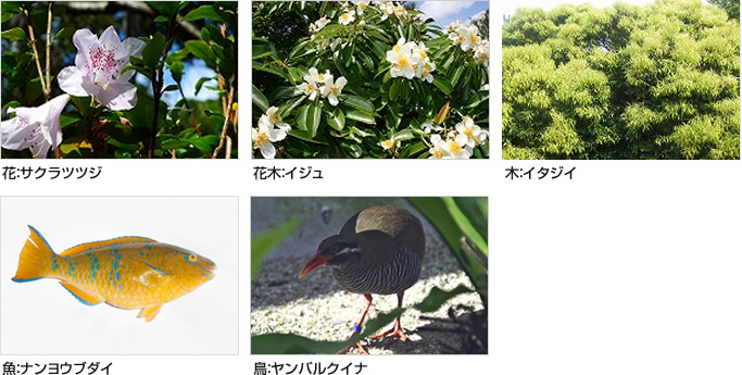 うるま市 | 暮らす旅 うるま市 | 暮らす旅